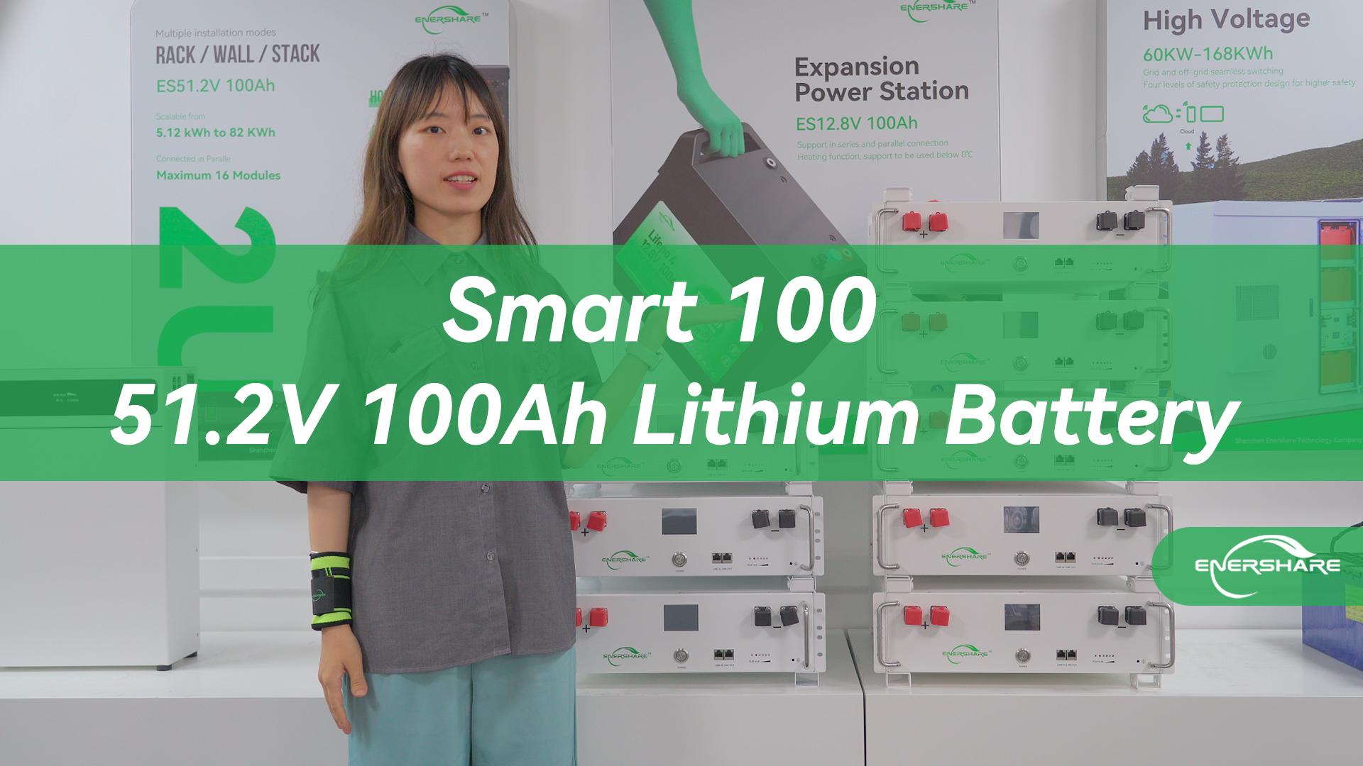 Rack-Mount Battery——Smart 100 51.2V 100Ah Battery